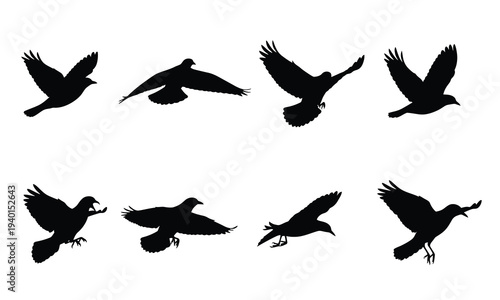 Silhouettes of birds in flight on white background