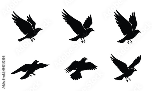 Six black silhouettes of birds in flight on white background