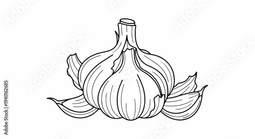 Line drawing of a whole garlic bulb with several cloves and leaves on a white background.