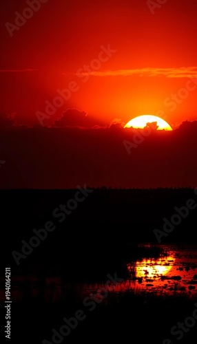 Fiery sunset silhouettes a ghost of a saltmarsh, where light fights encroaching darkness,  wetland,  sunset