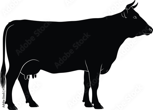 Black silhouette of a dairy cow standing in profile isolated on a white background for farm and agriculture design.