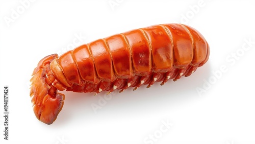 Lobster tail on plain white backdrop