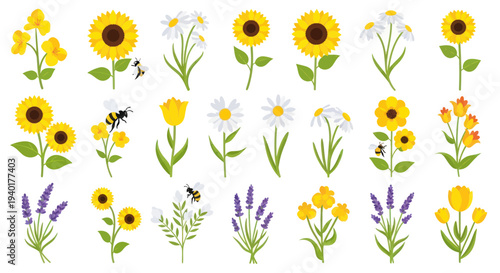 Summer Floral Collection: Sunflowers, Daisies, Tulips, Lavender & Bees