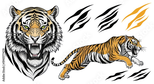 Tiger Face and Leaping Tiger Illustration with Claw Marks