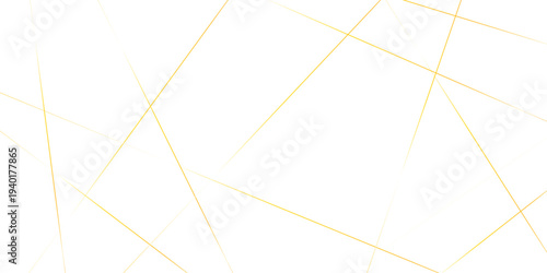 Abstract randomly gradient vector white striped line pattern shape art wallpaper. modern seamless fabric striped minimal smooth futuristic diagonal thin vintage background.