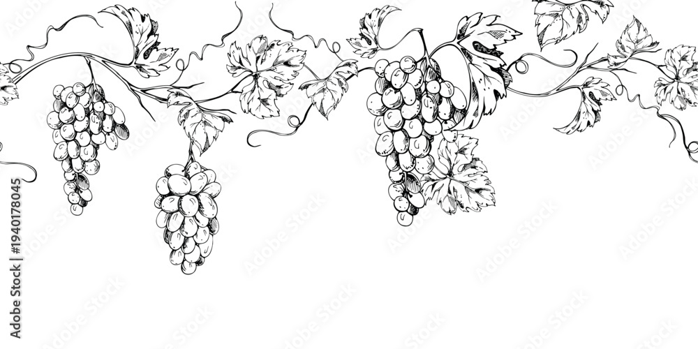 Obraz premium Seamless grapevine banner with repeating grape clusters, leaves and tendrils flowing horizontally. Isolated ink vector illustration. Website headers, wine labels, packaging borders, menu decoration.