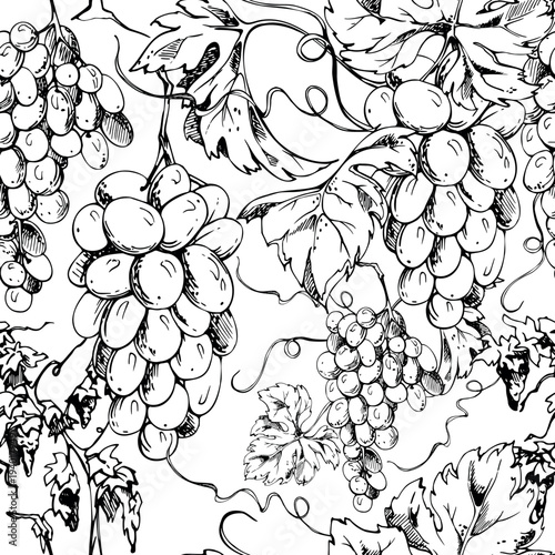 Seamless grapevine pattern with repeating grape clusters, leaves and curling tendrils. Ink vector illustration hand drawn for textiles, wrapping paper, wine wallpaper, table linens, tea towels.