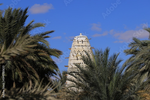 White Pigeon House behind Palm Tress (Siwa, Egypt)