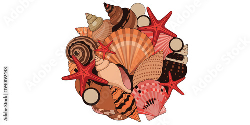 Assortment of Colorful Seashells and Starfish