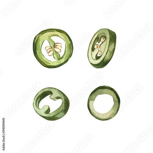 A set of green jalapeno pepper slices. Hand-painted watercolor rings of fresh, raw vegetables for culinary recipes, illustrating spices, organic produce, and cooking ingredients.