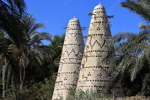 Pigeon Houses in Siwa Oasis (Egypt)