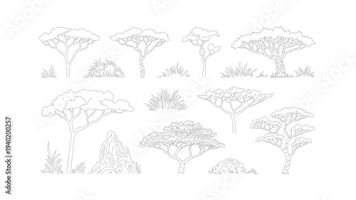 Collection of African Acacia Trees and Vegetation Line Art.