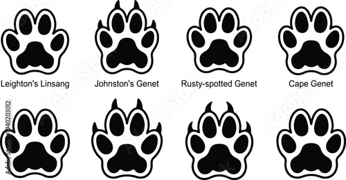 Vector illustration of various genets' paw prints, showcasing distinct shapes and patterns in a clean design format