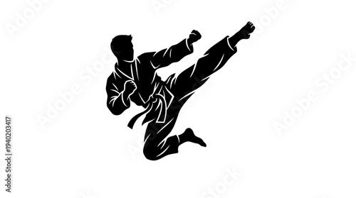 Dynamic martial artist kicking in mid-air, powerful silhouette