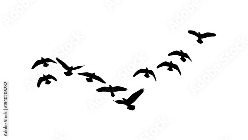 Silhouettes of birds flying in a V formation against a white background.