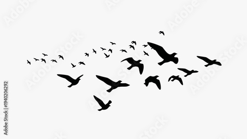 Silhouettes of birds in flight against a clear sky.