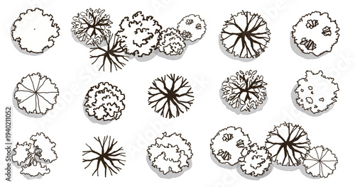 Vector set of Top view green tree for outdoor plan or map and architecture drawing, elements for environment and garden ,botanical elements ,Blooming flowers in spring,tropical plants element