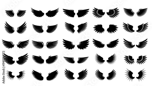 Collection of diverse black wing silhouettes for design