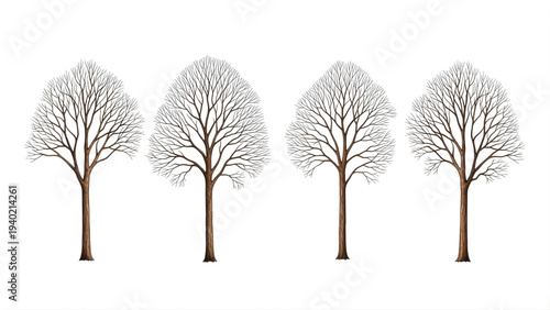 Set of four bare trees with brown trunks and branches