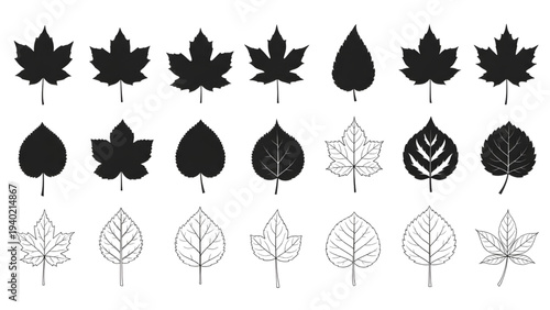 Collection of various leaf silhouettes and line art illustrations