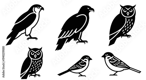 Bird Silhouettes Collection: Falcon, Eagle, Owl, and Sparrow Graphic Icons Set