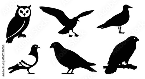 Bird Silhouettes Collection: Owl, Seagull, Pigeon, Dove, Hawk, and Crow Vector Set