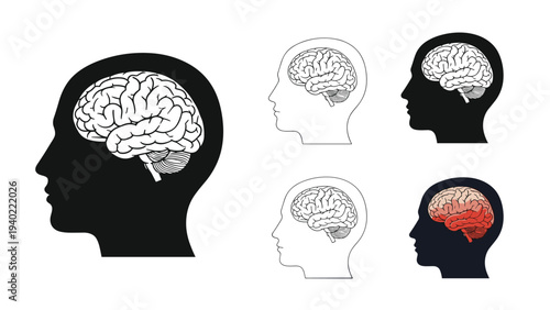 Human head silhouettes showcasing the brain structure are presented in different graphical styles from solid black to detailed line art.