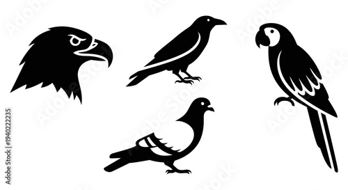 Collection of Bird Silhouettes: Eagle, Crow, Pigeon, and Parrot Vector Icons