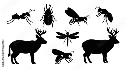 Deer and Insect Silhouettes Collection on White Background