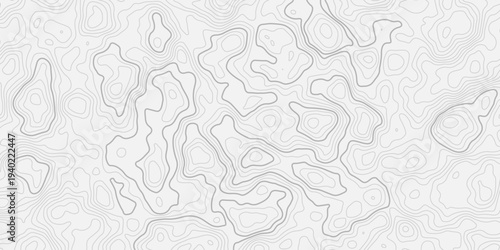 Geographic Terrain Elevation Map with Abstract Topographic Contour Lines Pattern
Modern Minimal Line Art Seamless Background Vector Illustration Design