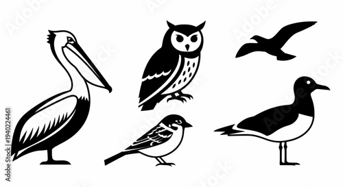 Diverse Bird Collection Vector Icons: Pelican, Owl, Sparrow, and Seagull Silhouettes