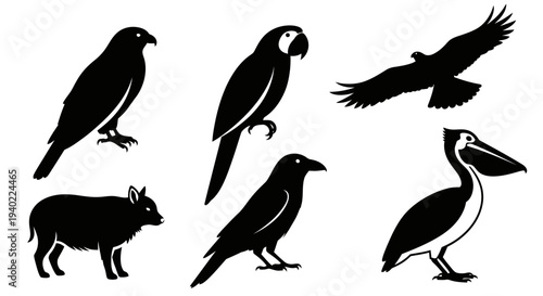 Diverse Animal Silhouettes Vector Set: Birds of Prey, Parrot, Pelican, and Pig