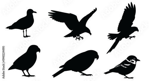 Diverse Bird Silhouettes Collection: Black Vector Shapes of Flying and Perching Wild Birds