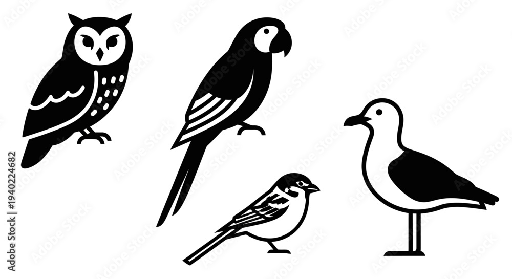 Obraz premium Diverse Black and White Bird Collection: Owl, Parrot, Sparrow, and Seagull Illustrations