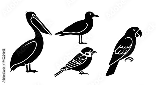 Diverse bird silhouettes set: pelican, parrot, sparrow, and common bird species