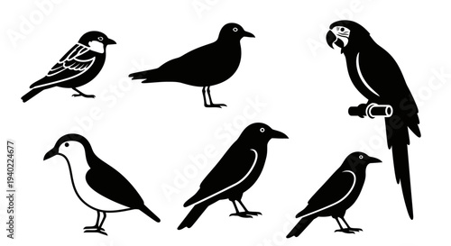 Diverse bird silhouettes vector set. Black and white graphic illustration of various avian species.