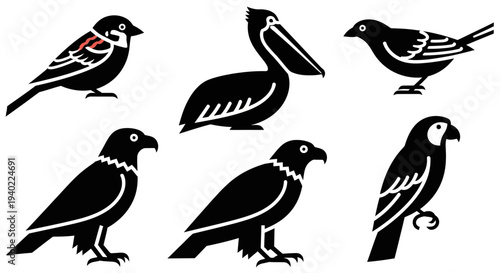 Diverse Bird Species Silhouettes Collection on White Background