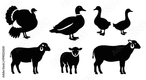 Farm Animals Silhouettes Collection: Turkey, Ducks, and Sheep Isolated on White