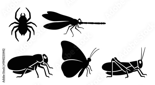 Insect and Bug Silhouettes Collection: Dragonfly, Butterfly, Spider, Grasshopper