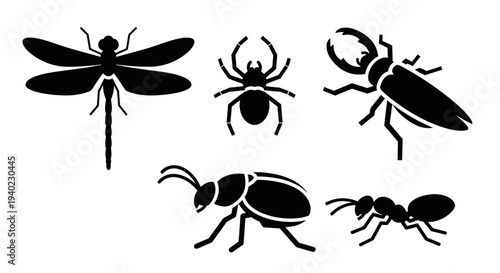 Insect and Bug Silhouettes Collection: Dragonfly, Spider, Beetles, and Ant