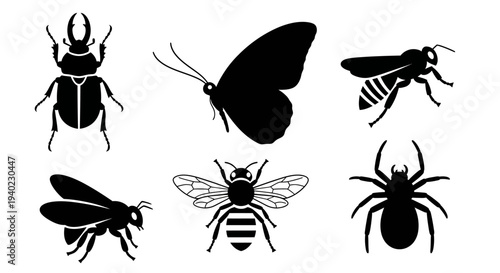 Insect and Bug Silhouettes Set: Beetle, Butterfly, Bee, Fly, and Spider Icons