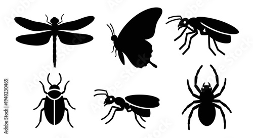 Insect and Bug Silhouettes Set. Dragonfly, Butterfly, Ant, Beetle, Wasp, Spider Icons