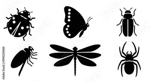 Insect and Bug Silhouettes Vector Set - Ladybug, Butterfly, Beetle, Dragonfly, Fly, Spider Icons