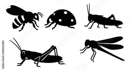 Insect Silhouettes Collection: Bee, Ladybug, Grasshopper, Dragonfly on White Background