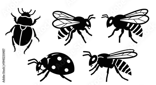 Insect Silhouettes Collection: Beetle, Ladybug, and Bees on White Background