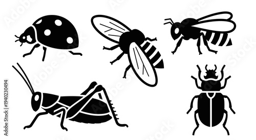 Insect Silhouettes Collection: Ladybug, Bee, Grasshopper, and Beetle Vector Icons