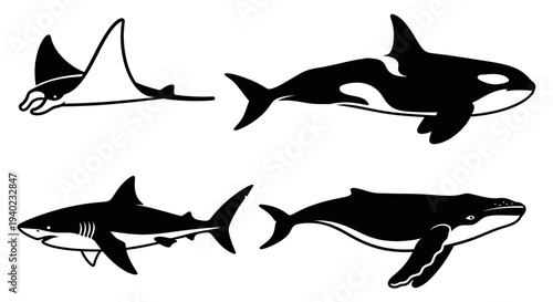 Marine Animals Collection: Manta Ray, Orca, Shark, and Whale Silhouettes