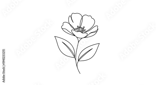 Fully bloomed single flower with prominent stamens and leaves in continuous line art isolated white background