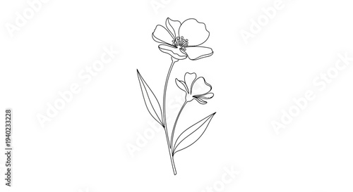 Single delicate blooming flower with bud and leaves in continuous line art isolated white background