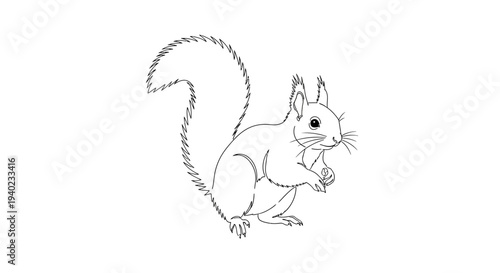 Playful Squirrel Eating a Nut, Charming Woodland Creature, Isolated White Background, Detailed Line Art